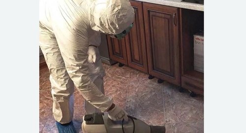 Уничтожение тараканов в квартире.  Новоалександрово 