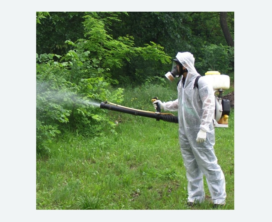 обработка территории от клещей в  Новоалександрово 