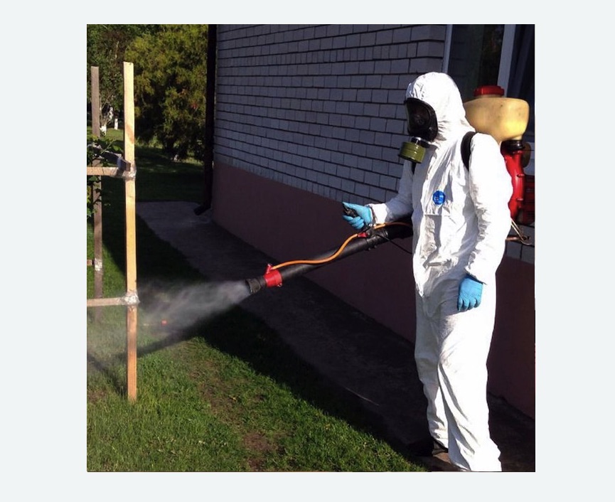 травля клещей на участке в  Новоалександрово 