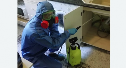 Уничтожение муравьев в квартире.  Новоалександрово 