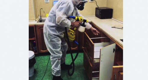 Дезинсекция квартиры.  Новоалександрово 