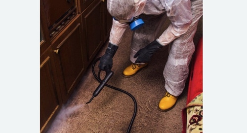 Обработка от тараканов в  Новоалександрово 