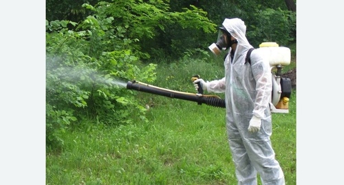 Дезинфекция территории от клещей.  Новоалександрово 