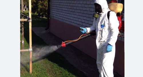 Уничтожение клещей на участке в  Новоалександрово 