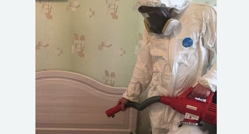 Уничтожение клещей в квартире.  Новоалександрово 