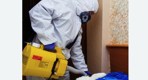 Дезинфекция квартиры в  Новоалександрово 