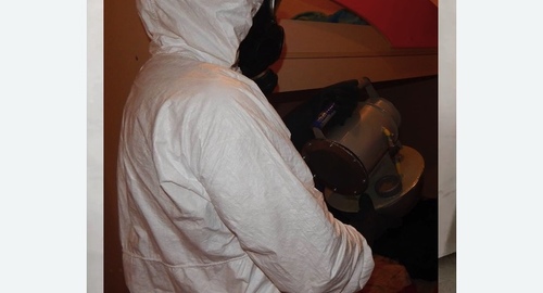 Обработка от муравьев в квартире в  Новоалександрово 