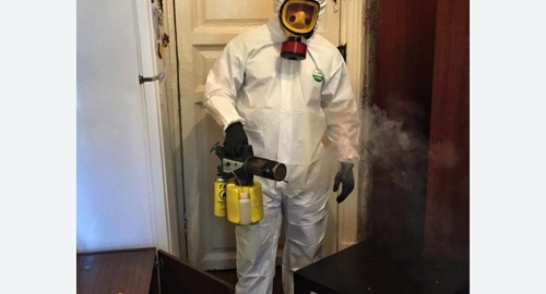 Дезинфекция от муравьев в квартире в  Новоалександрово 