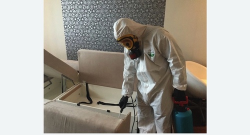 Дезинсекция в  Новоалександрово 