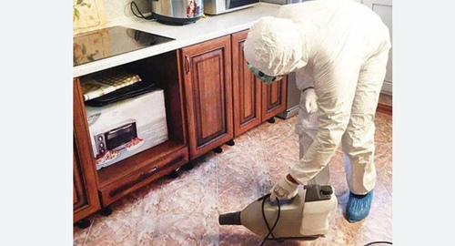 Обработка квартиры от клопов в  Новоалександрово 