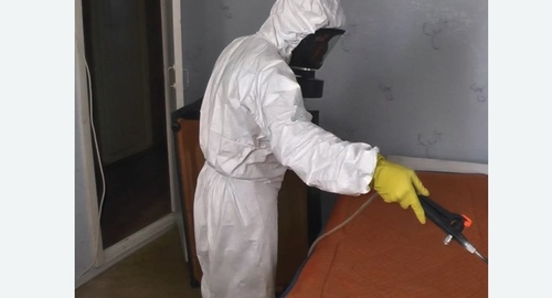 Дезинсекция насекомых в  Новоалександрово 