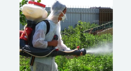 Акарицидная обработка территории  в  Новоалександрово 