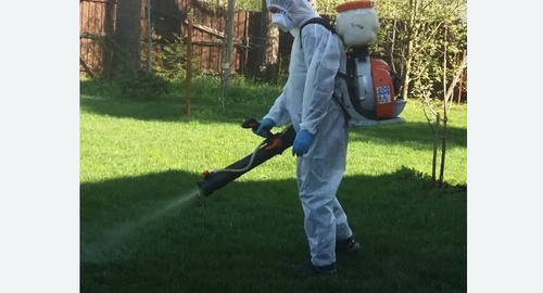 Обработка участка от клещей в  Новоалександрово 