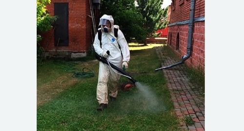 Обработка территории от клещей.  Новоалександрово 