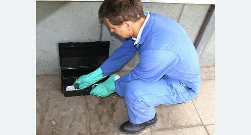 Уничтожение мышей в квартире в  Новоалександрово 