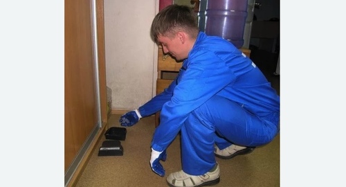 Обработка от крыс в  Новоалександрово 