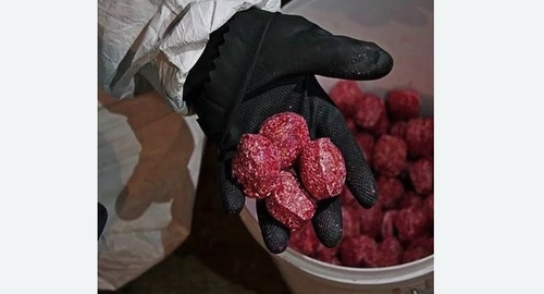 Травля крыс.  Новоалександрово 