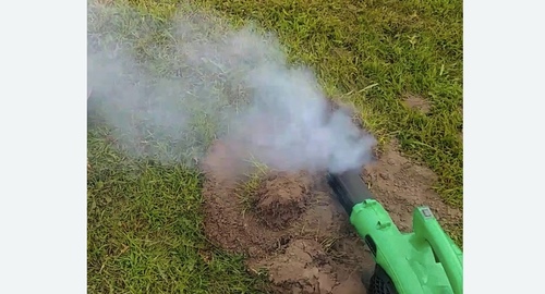 Обработка от кротов в  Новоалександрово 