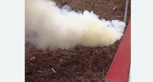 Уничтожение кротов на участке в  Новоалександрово 