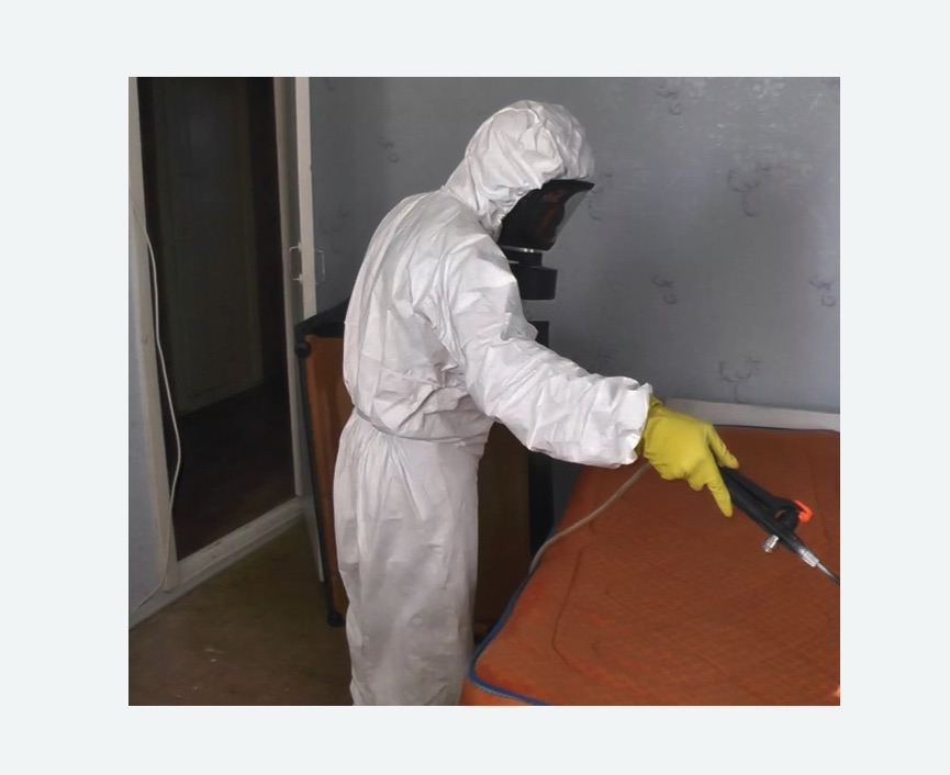 Дезинсекция помещений
