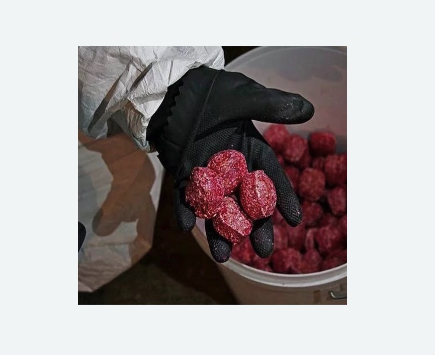 Обработка от крыс в  Новоалександрово 