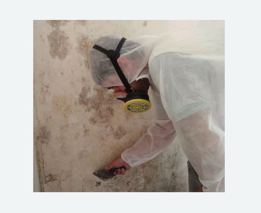 Обработка стен от плесени в  Новоалександрово 