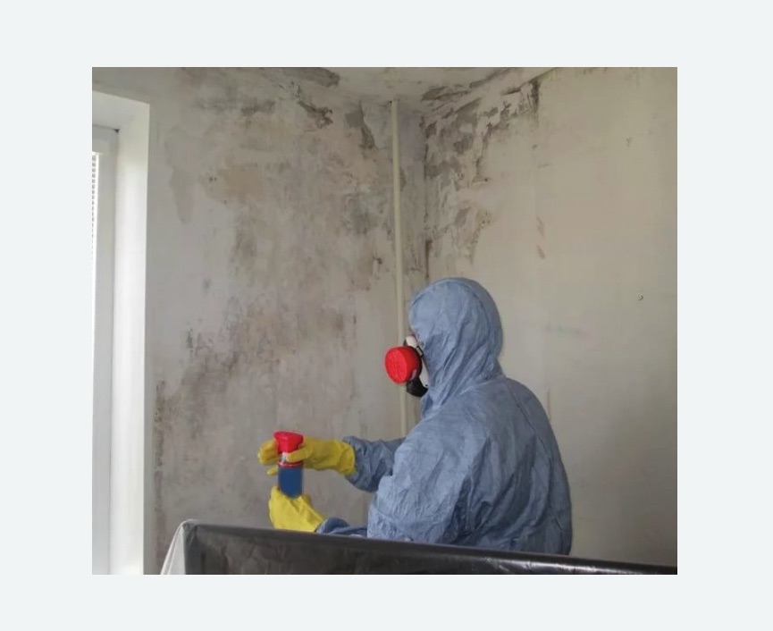 Удаление плесени в квартире в  Новоалександрово 