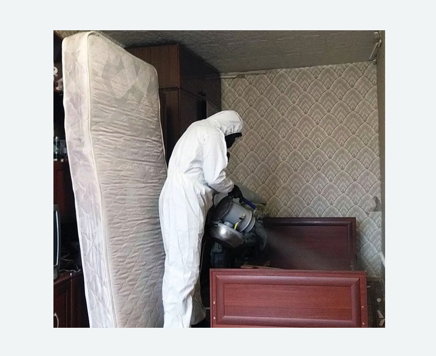 дезинфекция от клопов в  Новоалександрово 