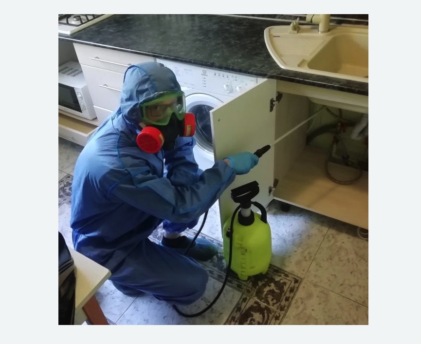 обработка от муравьев в квартире в  Новоалександрово 