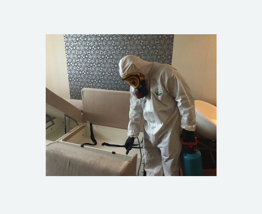 уничтожение клопов в квартире в  Новоалександрово 