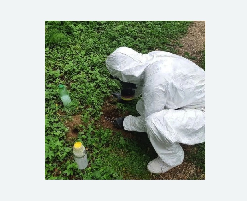 уничтожение кротов на участке в  Новоалександрово 