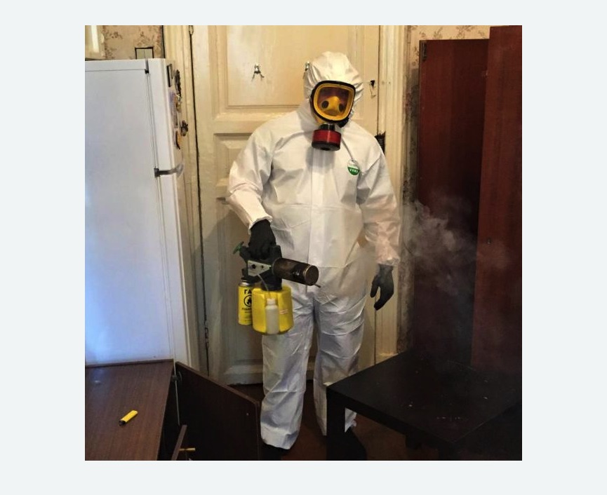 уничтожение муравьев в квартире в  Новоалександрово 